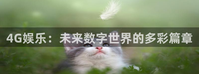 高德娱乐：4G娱乐：未来数字世界的多彩篇章