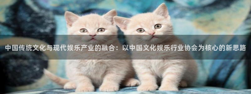 高德娱乐：中国传统文化与现代娱乐产业的融合：以中国文化娱乐行业协会为核心的新思路