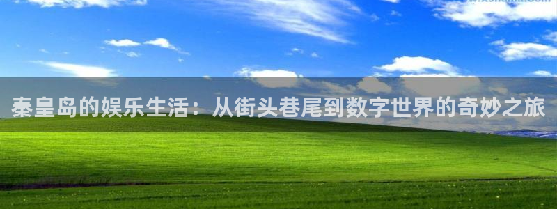 高德娱乐：秦皇岛的娱乐生活：从街头巷尾到数字世界的奇妙之旅