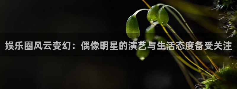 高德娱乐：娱乐圈风云变幻：偶像明星的演艺与生活态度备受关注