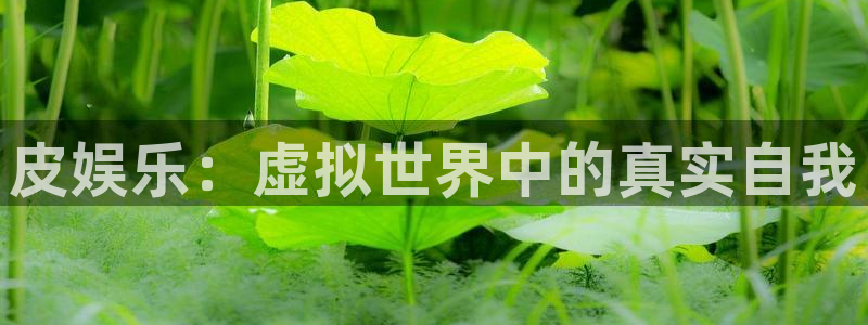 高德娱乐：皮娱乐：虚拟世界中的真实自我